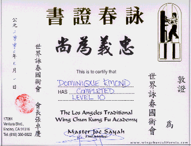  - level10-sifu-certificate